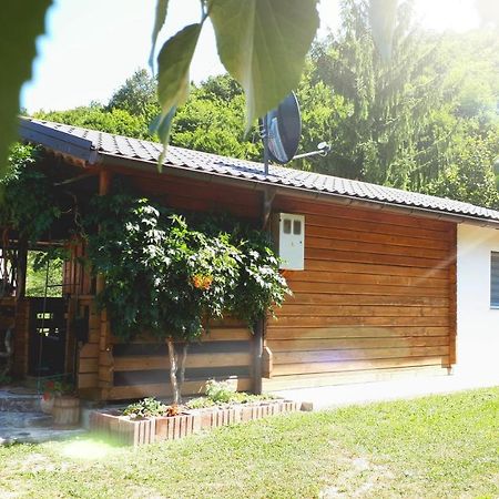 Studio Apartman Firdaus-Bihac, Dobrenica Bb المظهر الخارجي الصورة