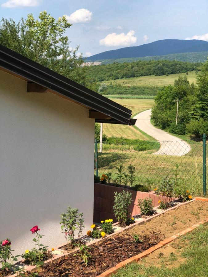 Studio Apartman Firdaus-Bihac, Dobrenica Bb المظهر الخارجي الصورة