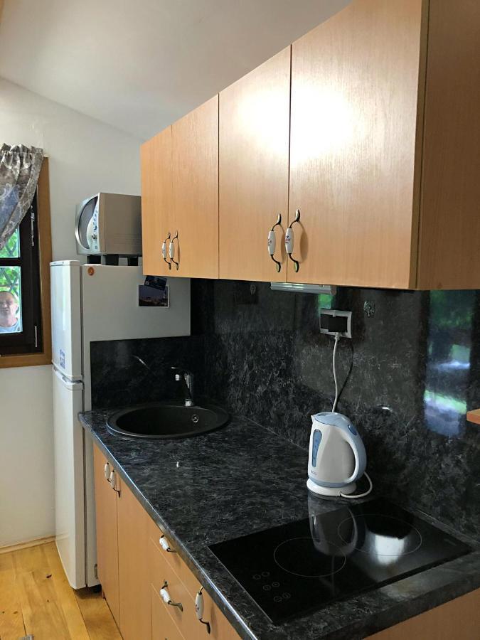 Studio Apartman Firdaus-Bihac, Dobrenica Bb المظهر الخارجي الصورة