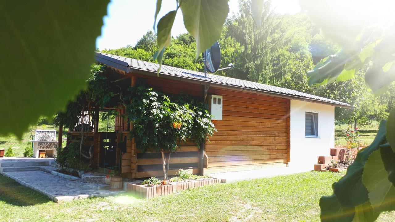 Studio Apartman Firdaus-Bihac, Dobrenica Bb المظهر الخارجي الصورة